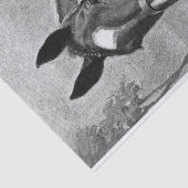 白黒旧式なヴィンテージの馬のイラストレーション 薄葉紙 (詳細)