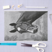 白黒旧式なヴィンテージの馬のイラストレーション 薄葉紙 (クラフト)