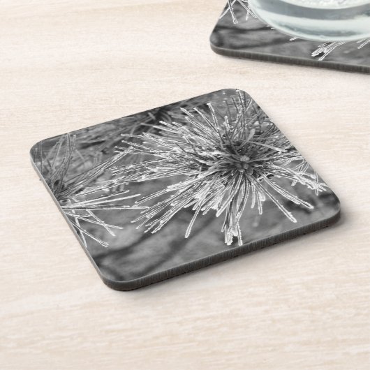 白黒松の葉 コースター (左側)