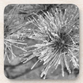 白黒松の葉 コースター (正面)