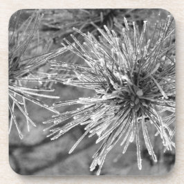 白黒松の葉 コースター