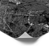 白黒林の木。美しい ポスター (角)