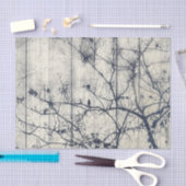 白黒植物モチーフの絵 薄葉紙 (クラフト)