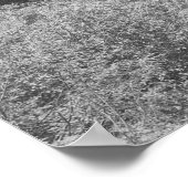 白黒樹のポスター ポスター (角)