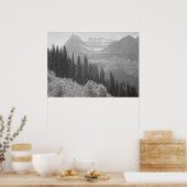 白黒樹のポスター ポスター (キッチン)