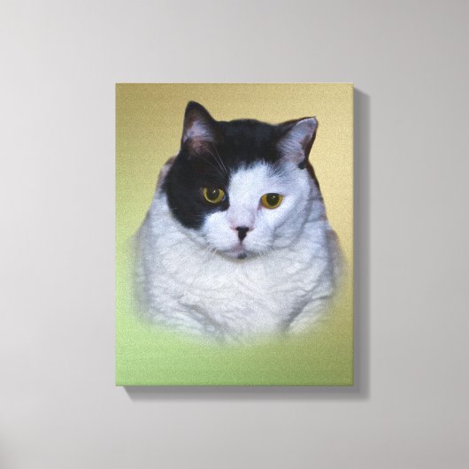 白黒毛猫 キャンバスプリント (正面)
