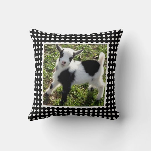 白黒水玉模様ナイジェリア矮小山羊 クッション (裏面)