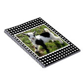 白黒水玉模様ナイジェリア矮小山羊 ノートブック (右側)