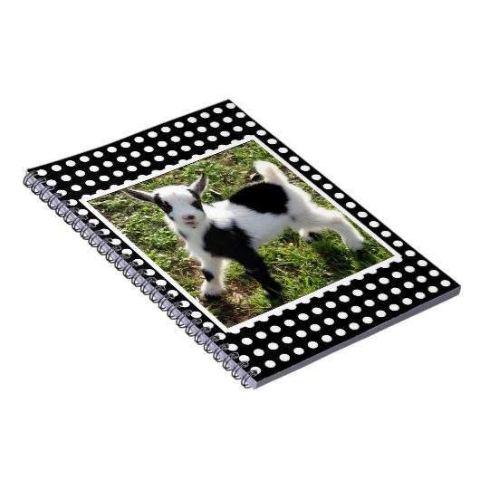 白黒水玉模様ナイジェリア矮小山羊 ノートブック (右側)