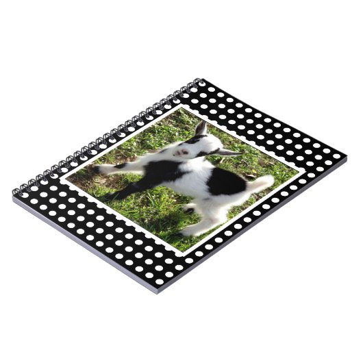 白黒水玉模様ナイジェリア矮小山羊 ノートブック (左側)