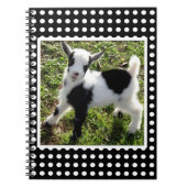 白黒水玉模様ナイジェリア矮小山羊 ノートブック (正面)