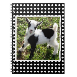 白黒水玉模様ナイジェリア矮小山羊 ノートブック