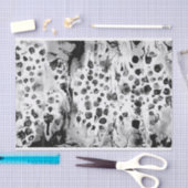 白黒水質のデザイン、大理石模様をつけるpap 薄葉紙 (クラフト)