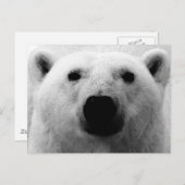 白黒熊 ポストカード (正面/裏面)