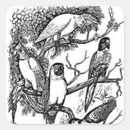 白黒熱帯鳥ヴィンテージシール スクエアシール