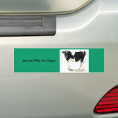 白黒牛バンパーステッカー バンパーステッカー (車上)