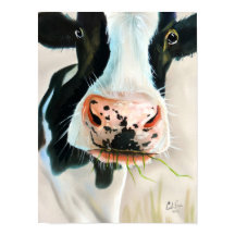 白黒牛ポートレート絵画ズ