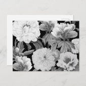 白黒牡丹ウォーター色フローラ シーズンポストカード (正面/裏面)