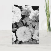 白黒牡丹結婚の服務命令 プログラム (裏面)