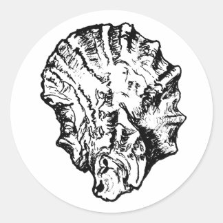 白黒牡蠣殻 ラウンドシール