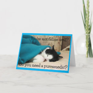 白黒猫からの願いが叶う カード
