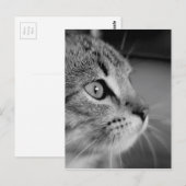 白黒猫のかわいい考え ポストカード (正面/裏面)