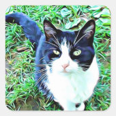 白黒猫のステッカーの美しさ スクエアシール (正面)