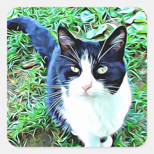 白黒猫のステッカーの美しさ スクエアシール (正面)