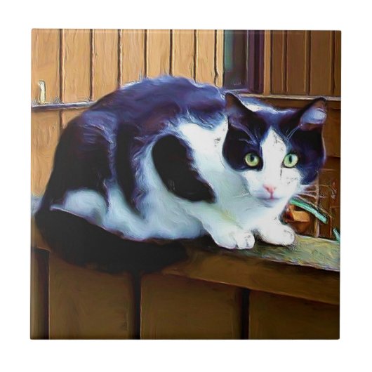 白黒猫のセラミックタイル タイル (正面)