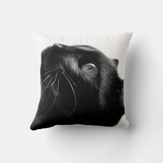 白黒猫のペット動物のかわいい写真 クッション (裏面)