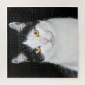 白黒猫のポートレート ジグソーパズル (縦)