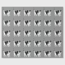 白黒猫の模様掛け紙