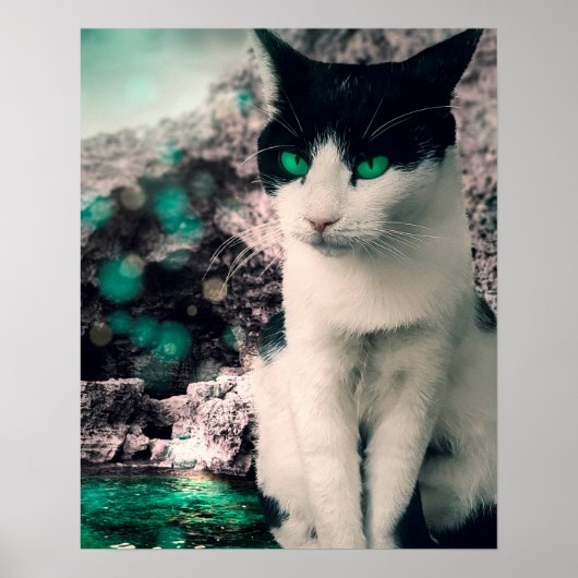 白黒猫の緑の目を見ながら座る ポスター (正面)
