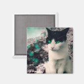 白黒猫の緑の目を見ながら座る マグネット (正面/裏面)