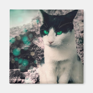 白黒猫の緑の目を見ながら座る マグネット