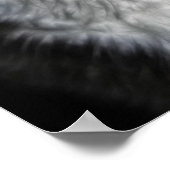 白黒猫の美しいポスター ポスター (角)