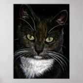 白黒猫の美しいポスター ポスター (正面)