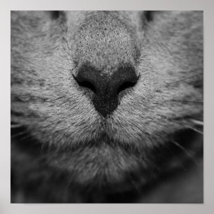 白黒猫の鼻 ポスター