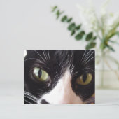 白黒猫はがき ポストカード (スタンド正面)