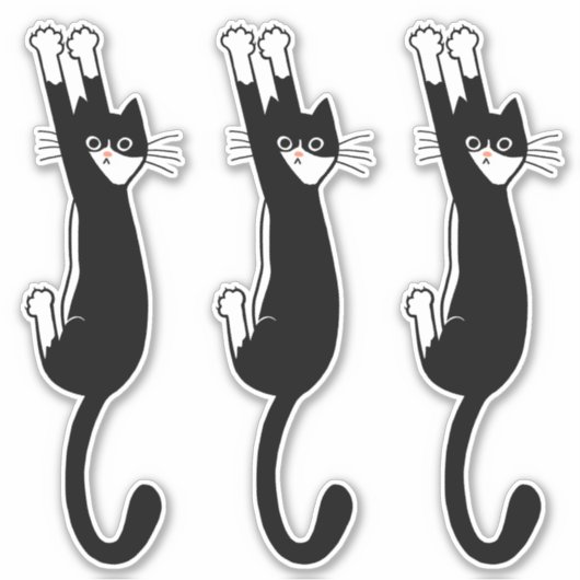 白黒猫ぶら下がったの乗り おもしろい| Tuxedo Cat シール (正面)