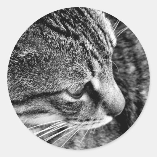 白黒猫ステッカー ラウンドシール (正面)