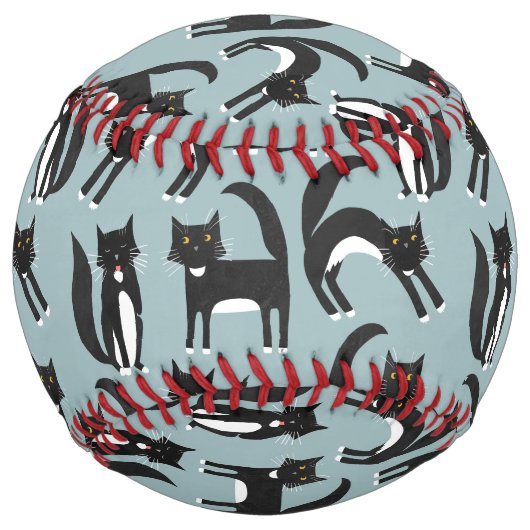 白黒猫タキシードおもしろい ソフトボール (正面)