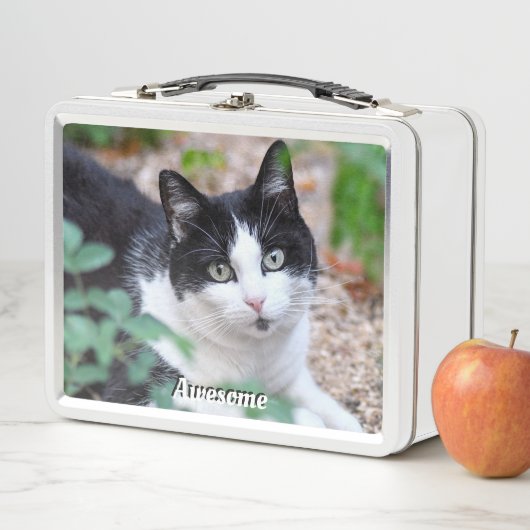 白黒猫タキシードカスタム猫の写真 メタルランチボックス (インサイチュ)