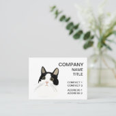 白黒猫ペットケア 名刺 (スタンド正面)