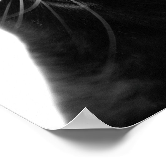 白黒猫ペット動物の写真キッズルーム ポスター (角)