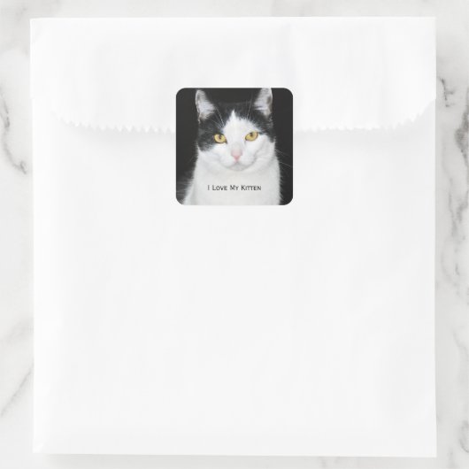 白黒猫ポートレート スクエアシール (バッグ)