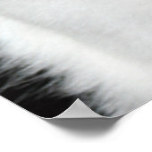 白黒猫ポートレート ポスター (角)