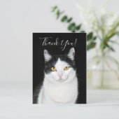 白黒猫ポートレート ポストカード (スタンド正面)