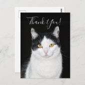 白黒猫ポートレート ポストカード (正面/裏面)