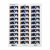 白黒猫住所 シール (フルシート)